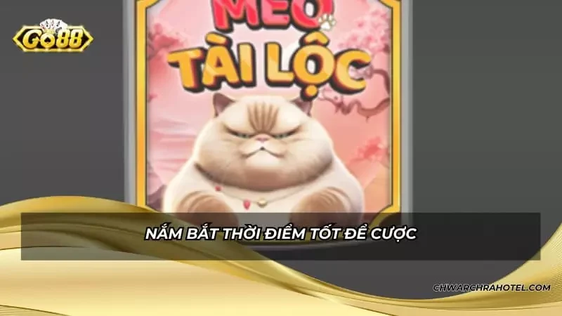 Nắm bắt thời điểm tốt để cược